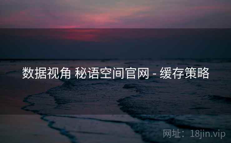 数据视角 秘语空间官网 - 缓存策略
