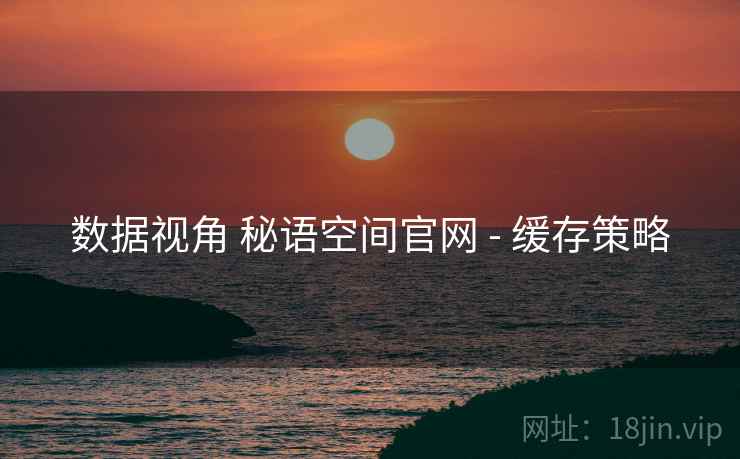 数据视角 秘语空间官网 - 缓存策略