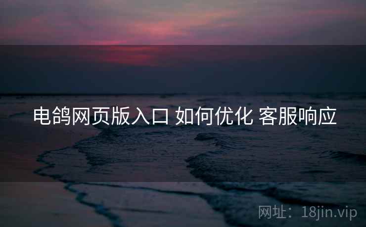 电鸽网页版入口 如何优化 客服响应