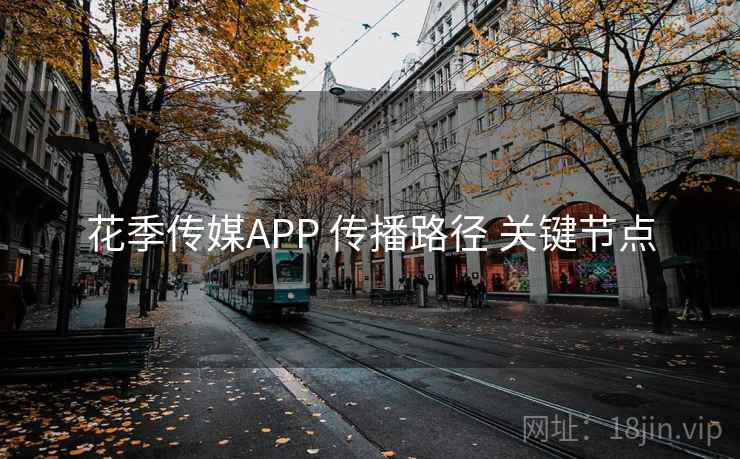 花季传媒APP 传播路径 关键节点