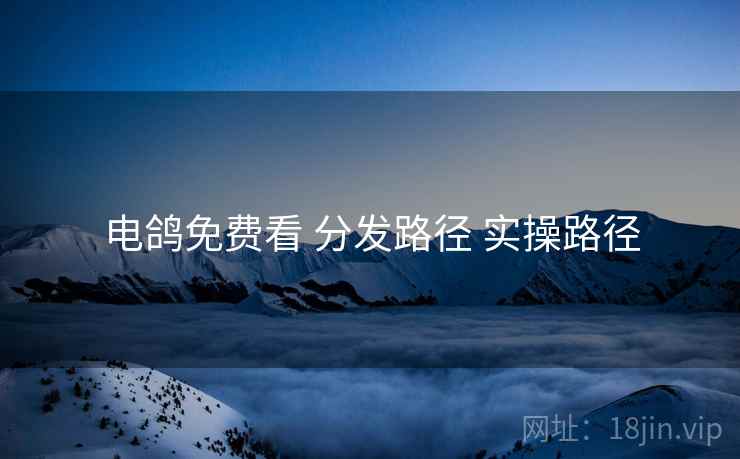 电鸽免费看 分发路径 实操路径