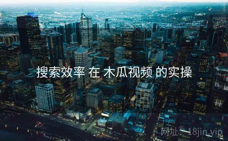 搜索效率 在 木瓜视频 的实操