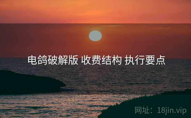电鸽破解版 收费结构 执行要点
