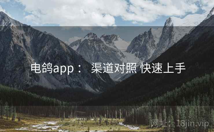 电鸽app : 渠道对照 快速上手 电鸽app : 渠道对照 快速上手