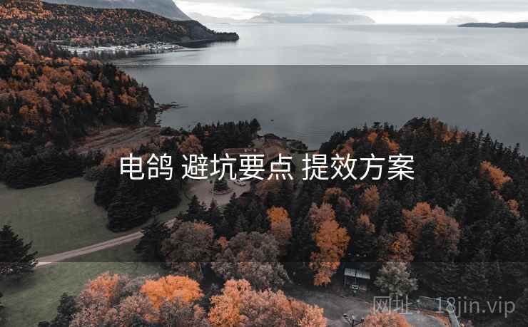 电鸽 避坑要点 提效方案 电鸽 避坑要点 提效方案