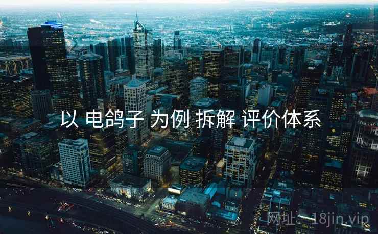 以 电鸽子 为例 拆解 评价体系 以 电鸽子 为例 拆解 评价体系