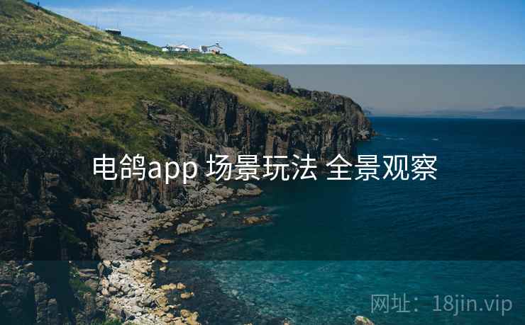 电鸽app 场景玩法 全景观察 电鸽app 场景玩法 全景观察
