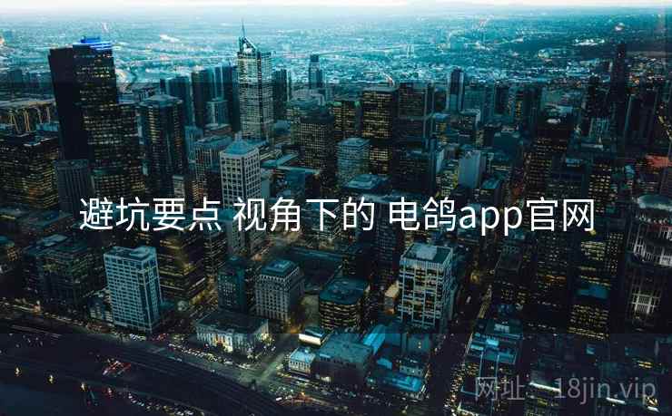 避坑要点 视角下的 电鸽app官网 避坑要点 视角下的 电鸽app官网