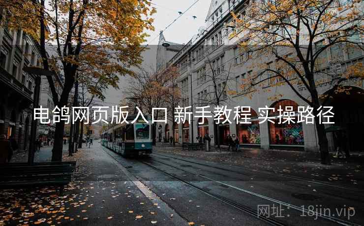 电鸽网页版入口 新手教程 实操路径 电鸽网页版入口 新手教程 实操路径