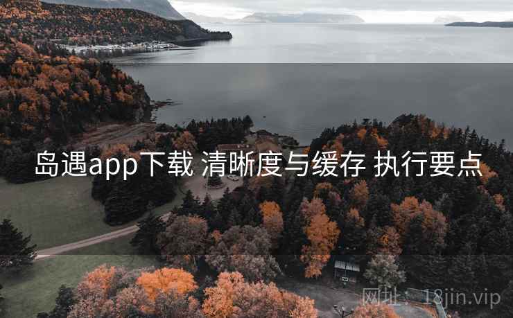 岛遇app下载 清晰度与缓存 执行要点 岛遇app下载 清晰度与缓存 执行要点