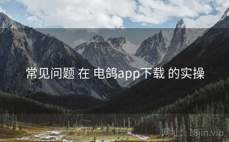 常见问题 在 电鸽app下载 的实操 常见问题 在 电鸽app下载 的实操
